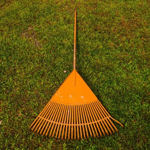 Popular-Product-Image